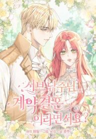 Sub-Male Lead, You Said It Was A Contract Marriage cover