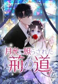 The Path Of The Briars In The Moonlight cover