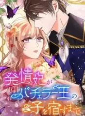 Until the Lustful Consort Bears the Bachelor King’s Child cover